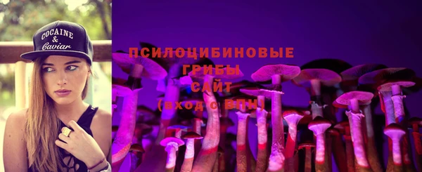 МДМА Козельск