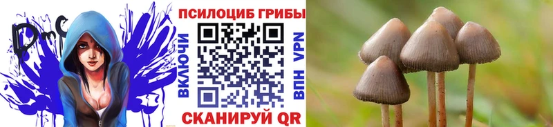 что такое   Крымск  Псилоцибиновые грибы MAGIC MUSHROOMS 